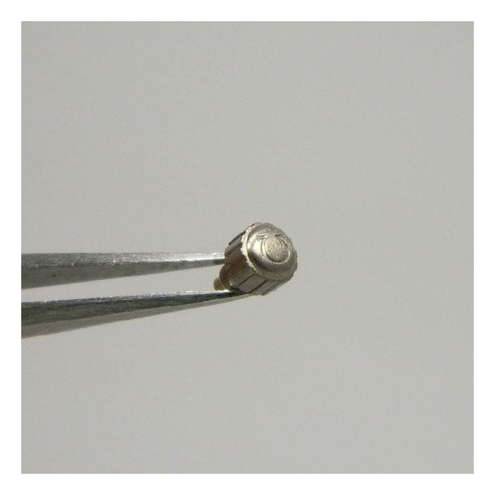 Omega couronne acier brossé