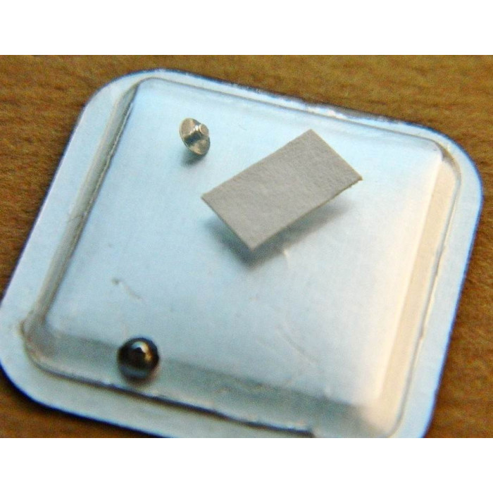 Rolex 1530 Vis de boitier 7896