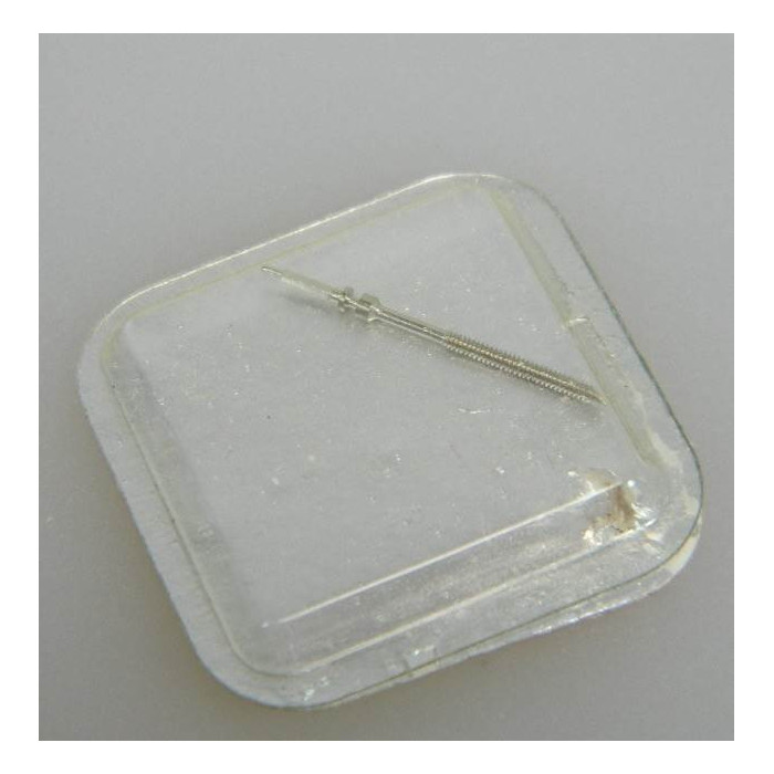 Longines 19A-401 Tige