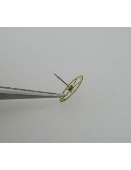 FE 4611-227 roue de seconde