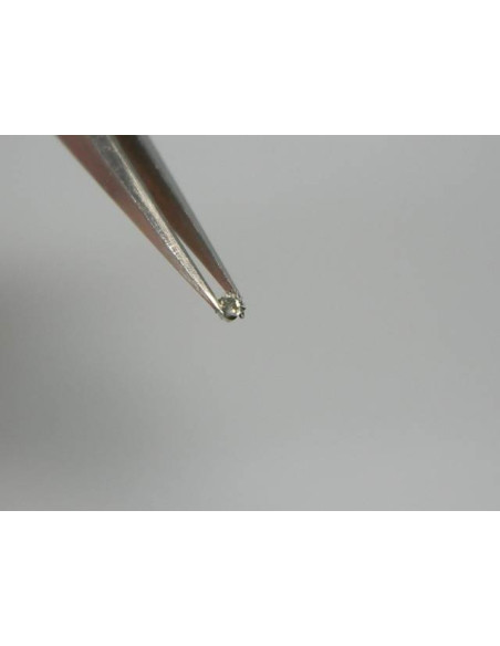 FE 4611-407 Pignon coulant