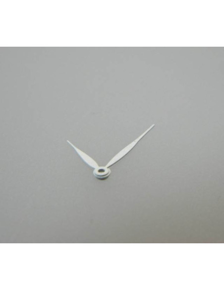 Aiguilles blanches ETA 2824