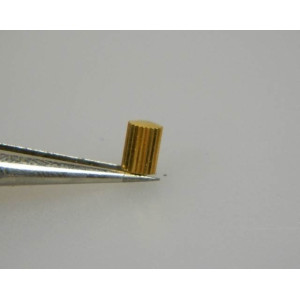 Omega anti-poussiere dorée couronne