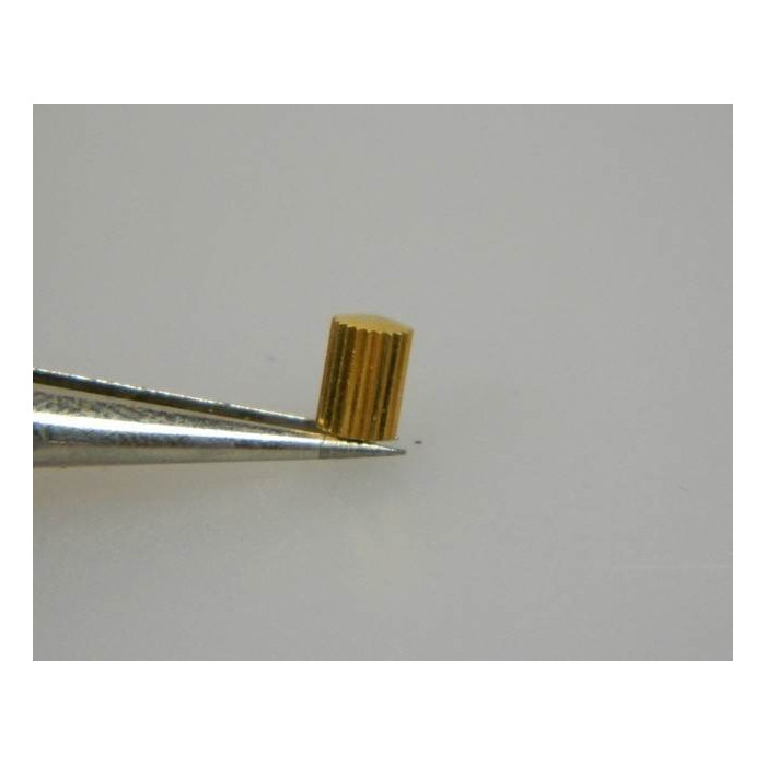 Omega anti-poussiere dorée couronne