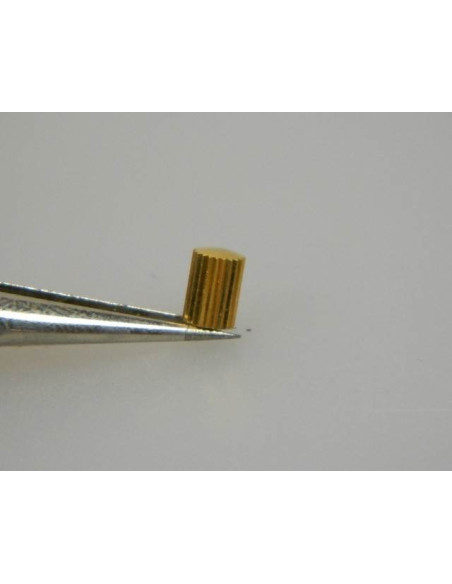 Omega anti-poussiere dorée couronne