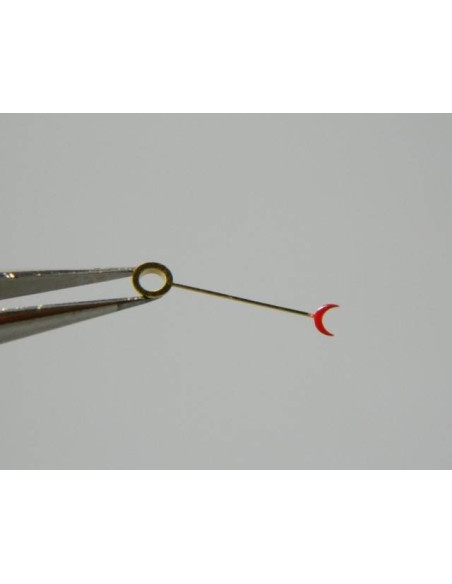 Tissot P485 aiguille date