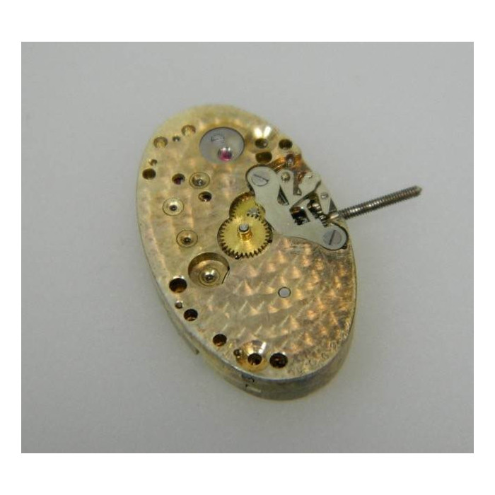 Mouvement Buren 15jewels