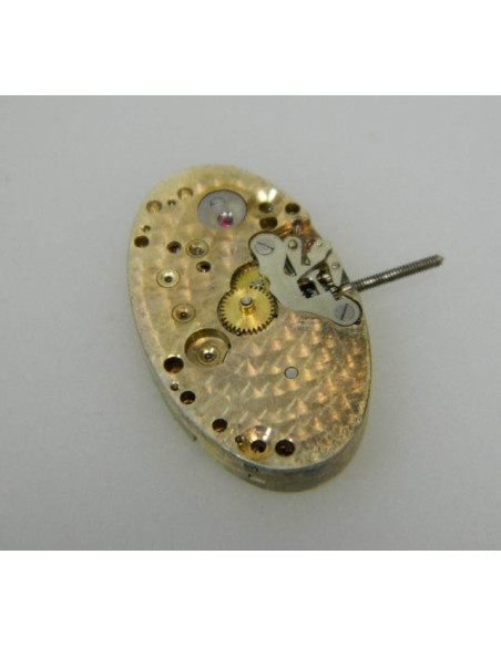 Mouvement Buren 15jewels