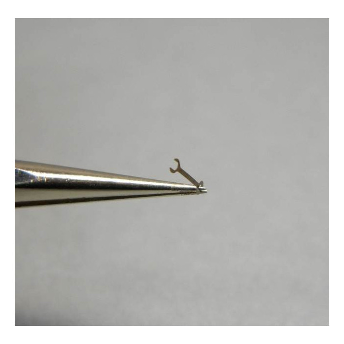 Venus 188-8290 Ressort-friction