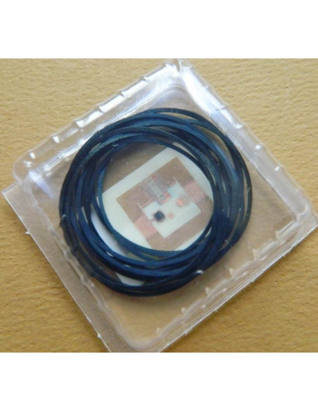 Rolex 29-302-86  Joint fond de boite