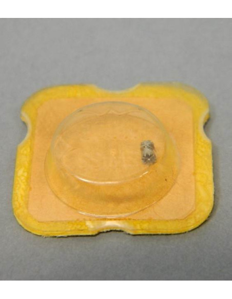 Valjoux 23-407 Pignon coulant