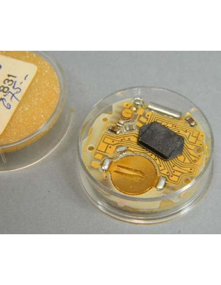 ESA 934.831 module