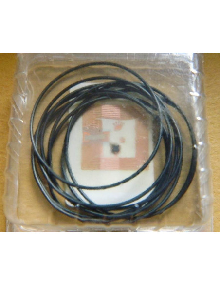 ROLEX Joint fond de boite - Réf. 298-8