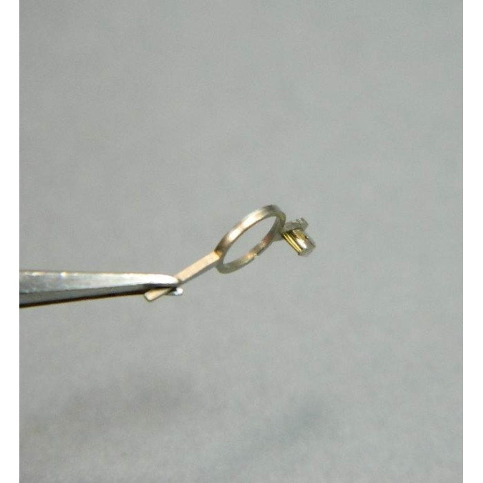 Universal 281-301 Raquette