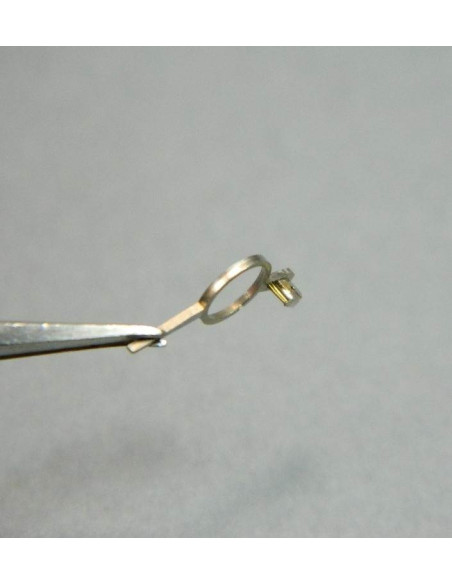 Universal 281-301 Raquette