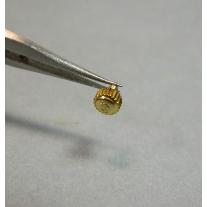 B&M Riviera Couronne dorée