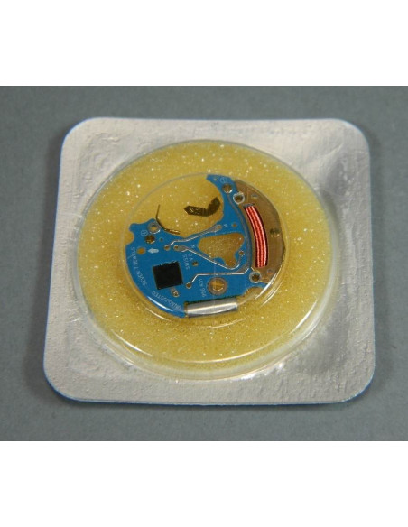 ESA 956.431 module