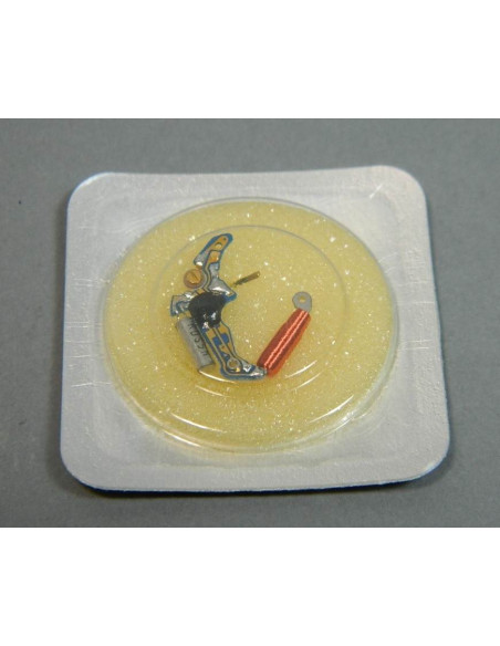 ESA 961.103 module
