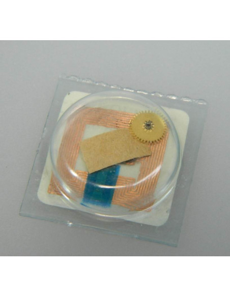 Rolex 1520-7888 roue de minuterie