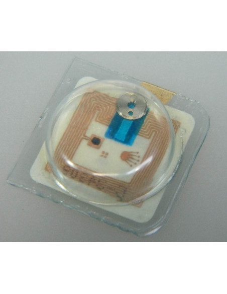 Rolex 1520-7873 Noyau