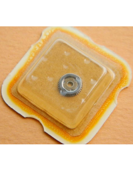 ETA 2620 Roue palier de masse oscillante