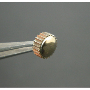 Lip Calipso couronne