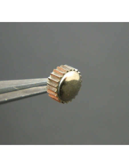 Lip Calipso couronne