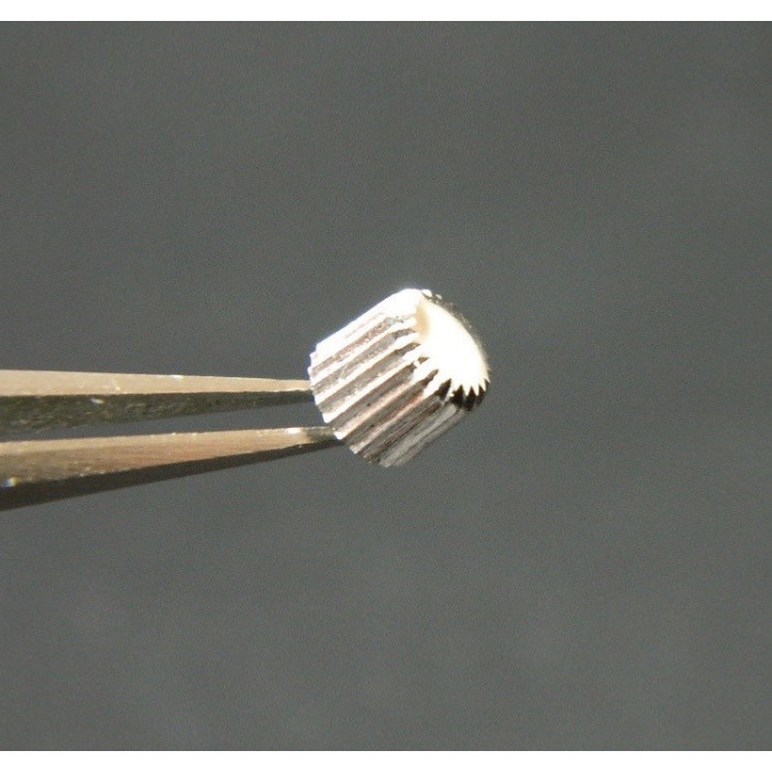 Lip Baschmakoff couronne