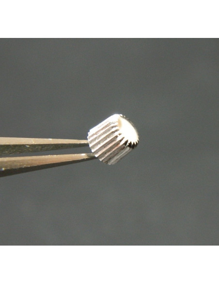 Lip Baschmakoff couronne