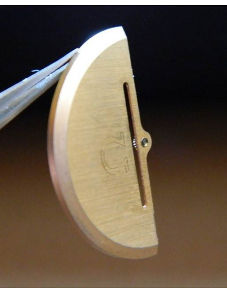 OMEGA masse oscillante Cal 1010
