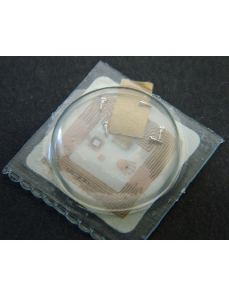 Rolex 5035-56005 Vis de module