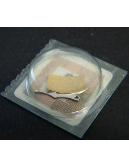 Rolex 3030-5039 Bascule de pignon coulant