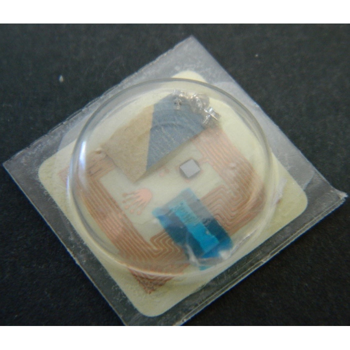 Rolex 3135-5100 Vis de boîte