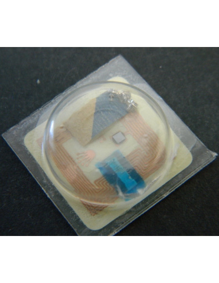 Rolex 3135-5100 Vis de boîte