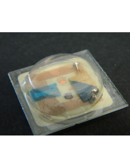 Rolex 3135-5100 Vis de boîte