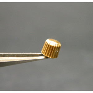 Lip Baschmakoff couronne dorée