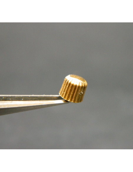 Lip Baschmakoff couronne dorée