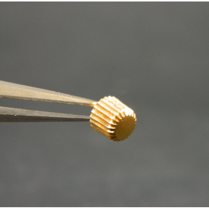 Lip Baschmakoff couronne dorée