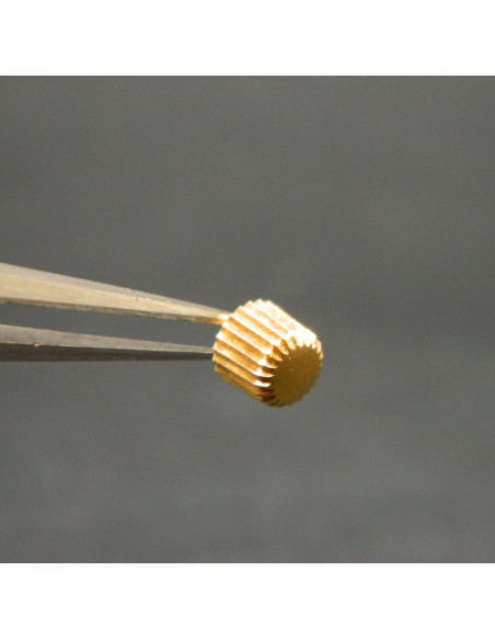 Lip Baschmakoff couronne dorée