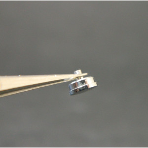 Lip R148 couronne acier