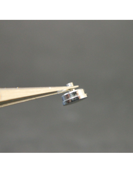 Lip R148 couronne acier