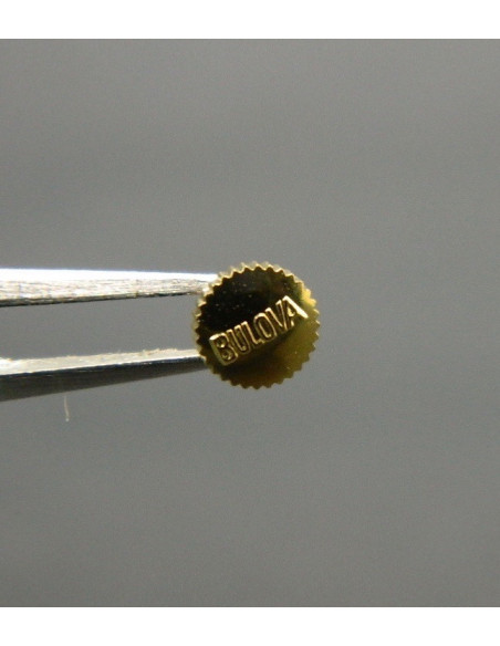 Bulova couronne anti-poussière