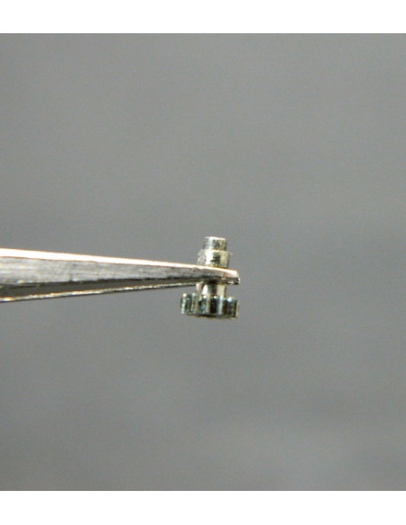 Lip Type14 Chaussée