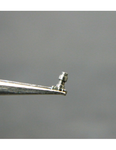 Lip Type14 Chaussée