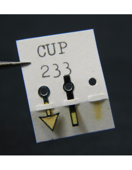 Cupillard 233 Aiguilles