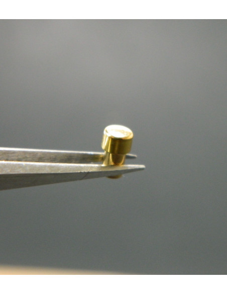 Zenith Time Command Poussoir