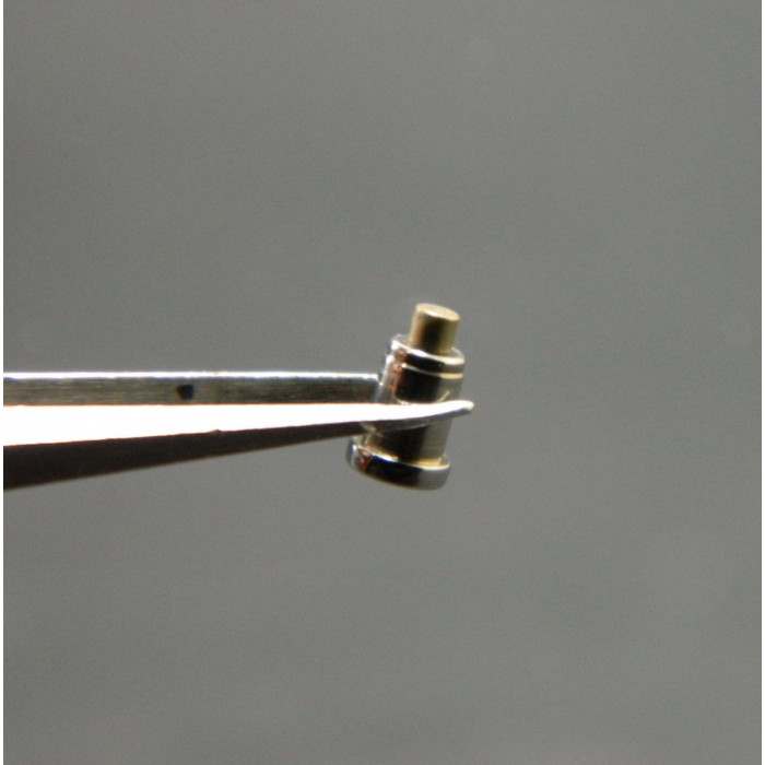 Zenith Chronomaster correcteur Lune