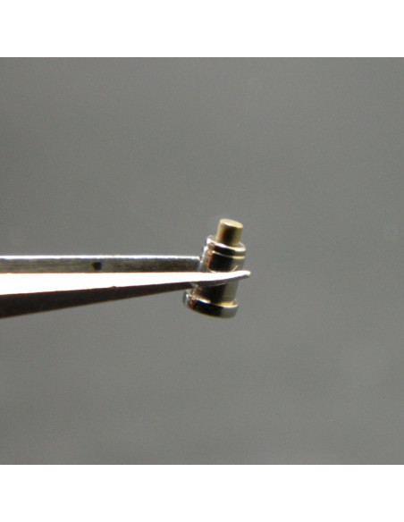 Zenith Chronomaster correcteur Lune