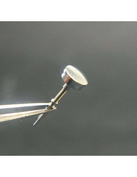 Lip Après Vente couronne acier