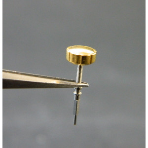 Lip R184 couronne dorée